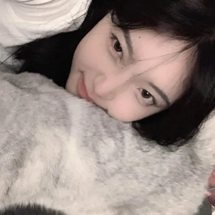 加油吧威基基第二季